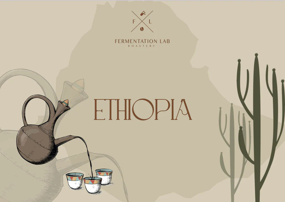 Fermentation Lab Ethiopia West Arsi Filter 250G