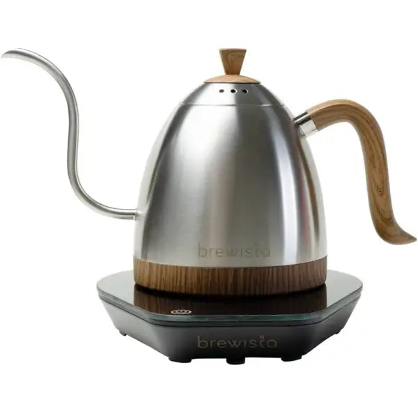 Brewista Artisan 0.6L Gooseneck Stainless Steel
