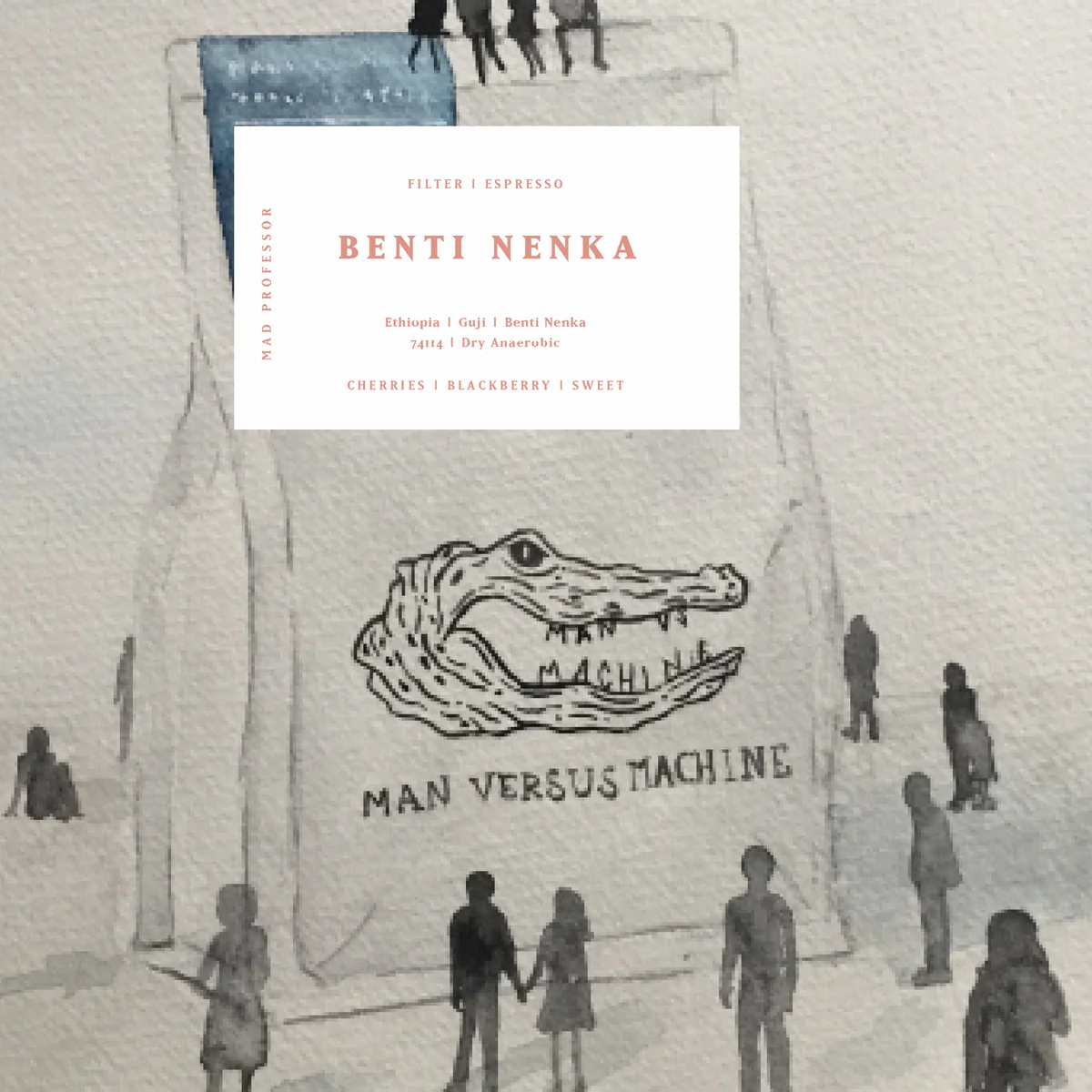 MVSM Benti Nenka Ethiopia Dry Anaerobic 250G