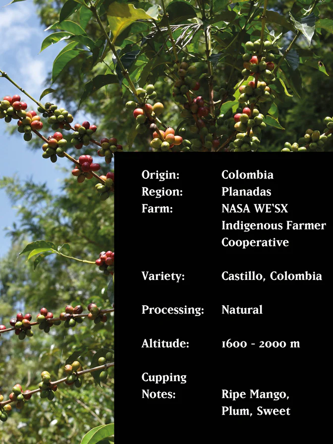 MVSM COLOMBIA PLANADAS NATURAL 250G