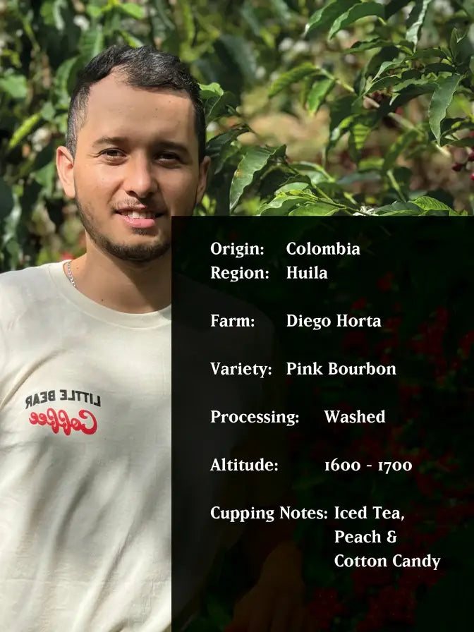MVSM Colombia El Rincon 250G