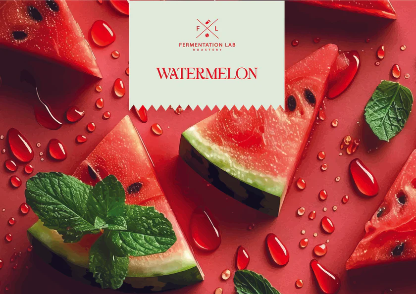 Fermentation lab | Colombia Watermelon 100G