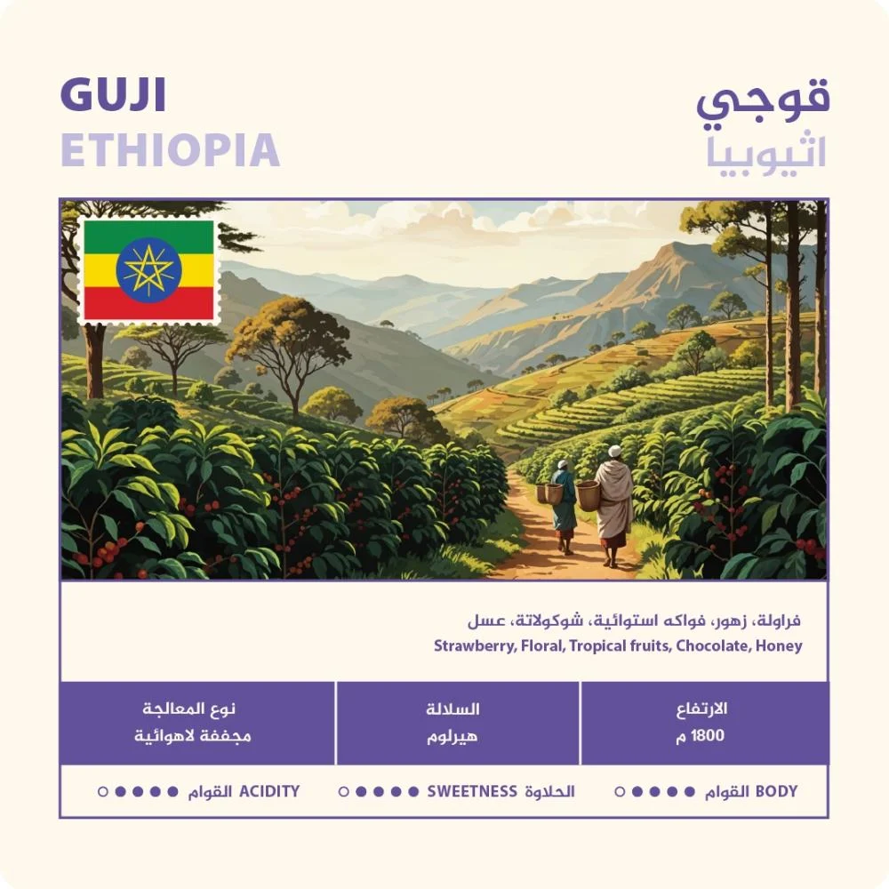 NAHJ | Ethiopia Guji Anbessa 250G