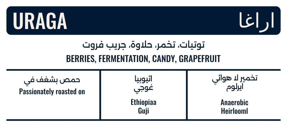 COFFEE LAB Ethiopia Uraga 250G