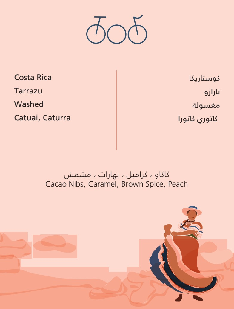 TRICYCLE Costa Rica Tarrazu Washed 250G