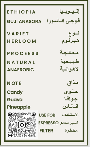 Bunnah | Ethiopia Guji Anasora Natural Anaerobic 250G