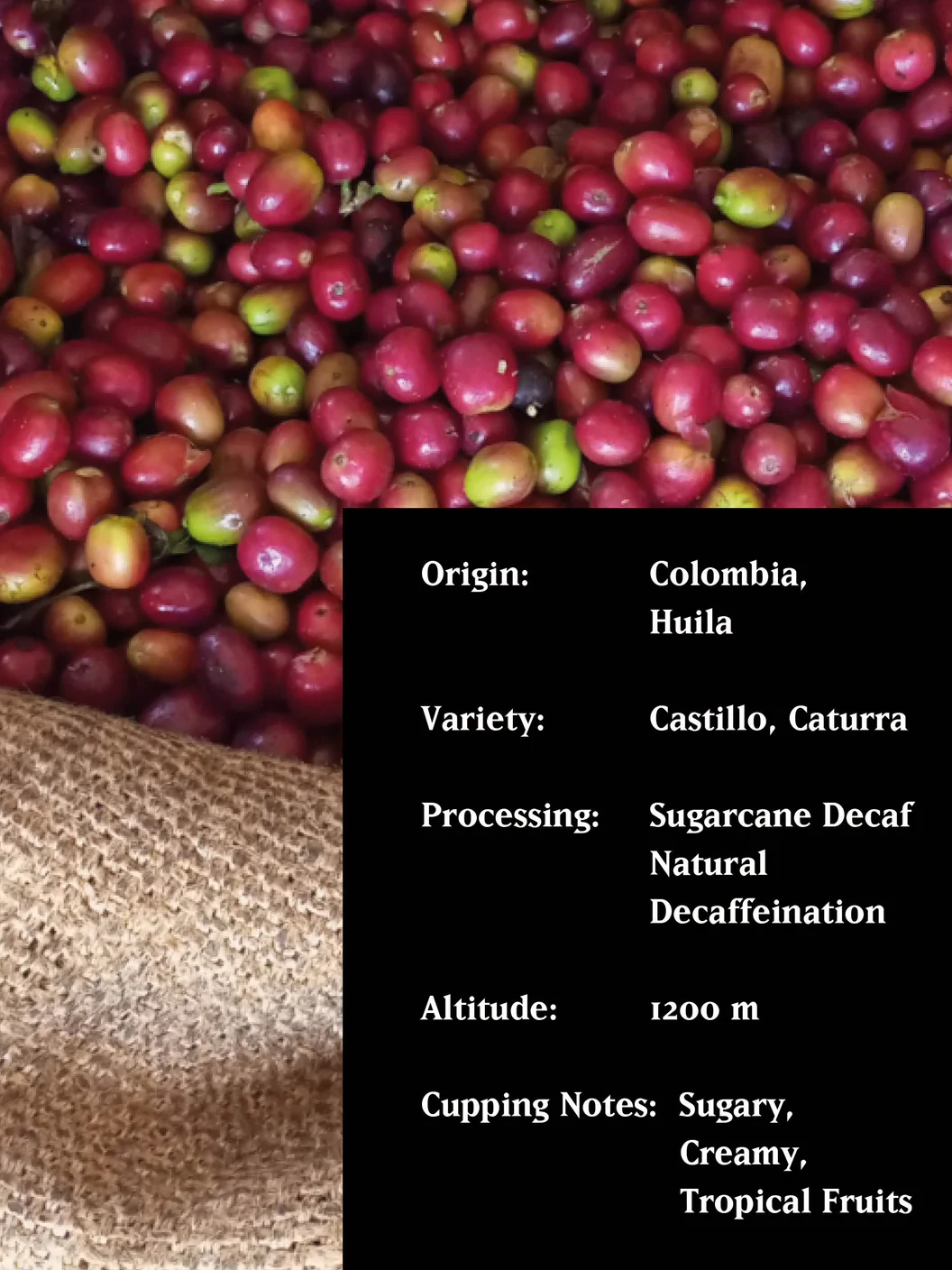 MVSM DECAF DE CANA, COLOMBIA, DECAF 250G