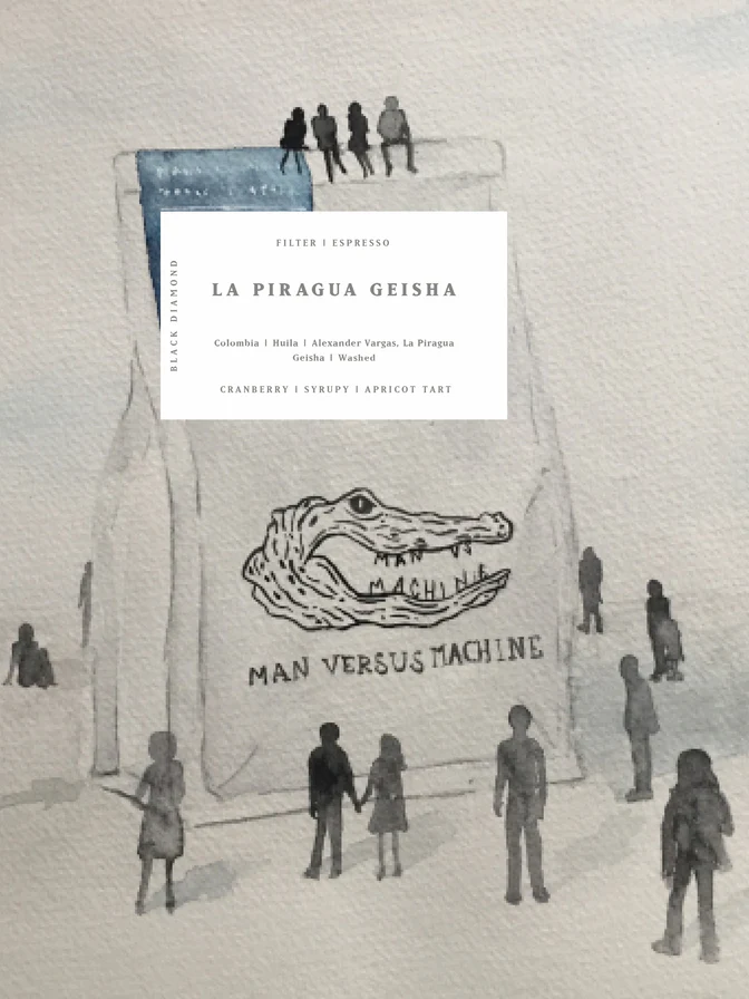 MvsM | Colombia La Piragua Geisha 250G