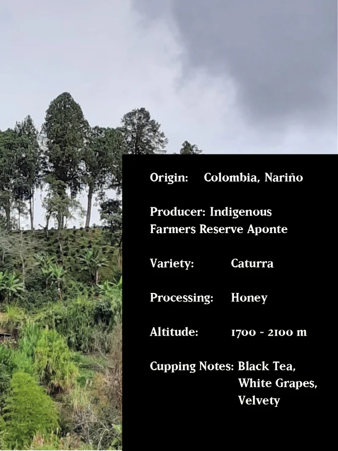 MVSM | HONEY APONTE COLOMBIA HONEY 250g
