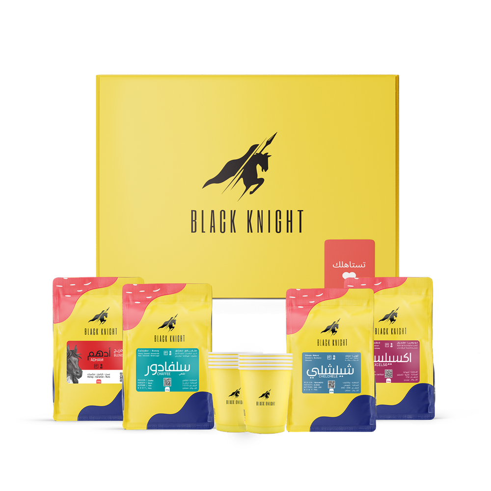 BLACK KNIGHT ESP Box 3