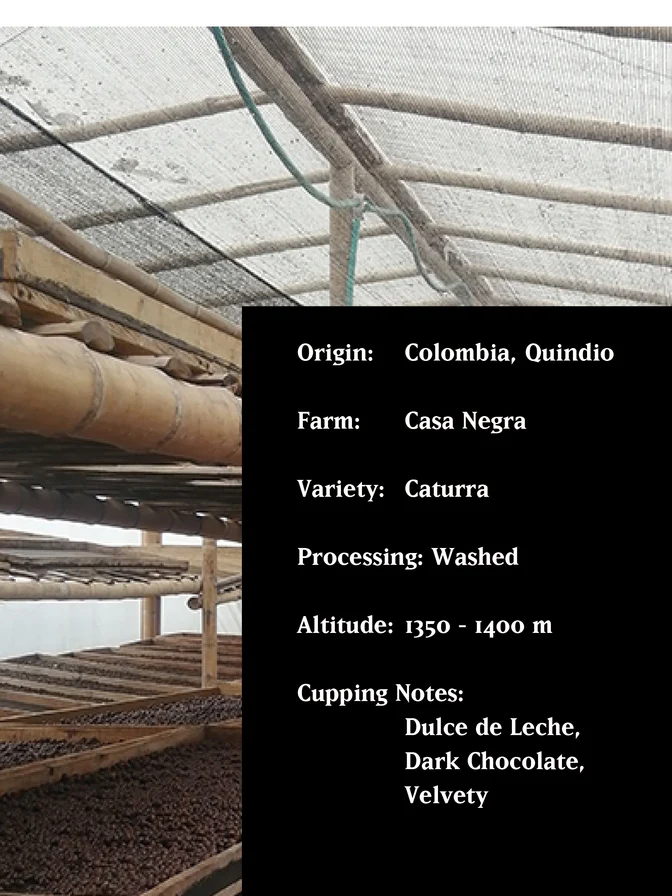 MVSM | PANINARO COLOMBIA WASHED 250G