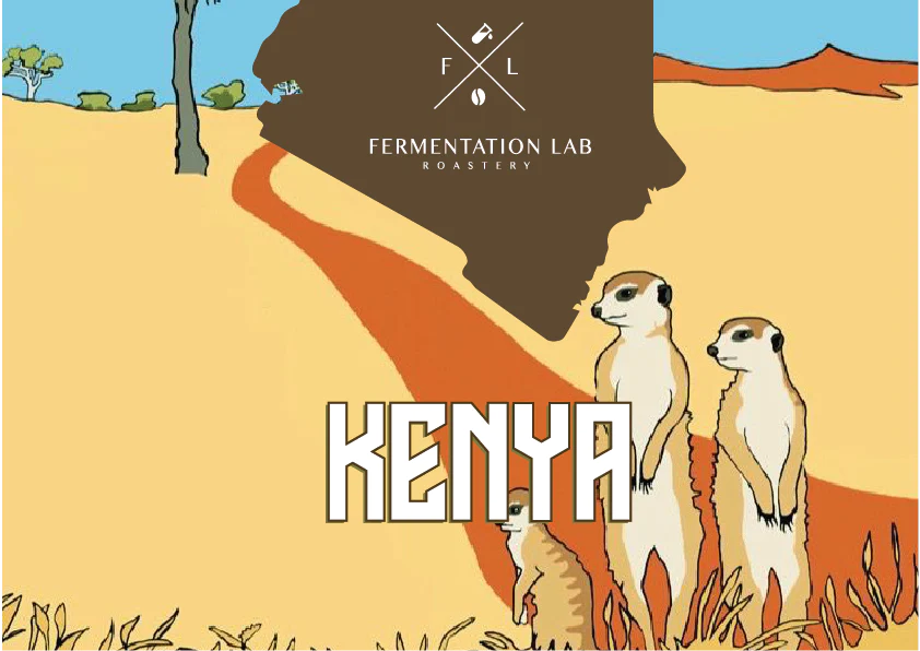 FERMENTATION LAB KENYA AA FILTER 250G
