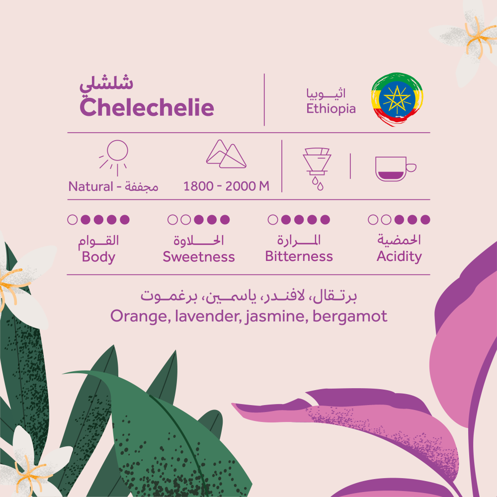 Breehant | Drip Coffee Ethiopia Chelchele 5pcs