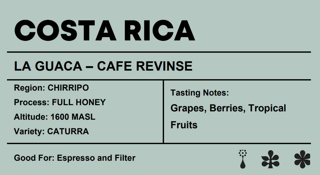 Crafters | Costa Rica Cafe Rivense Geisha 250G