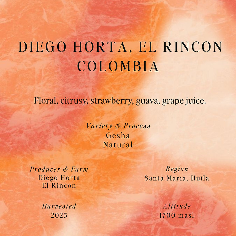 SUMO | DIEGO HORTA EL RINCON COLOMBIA 250 G