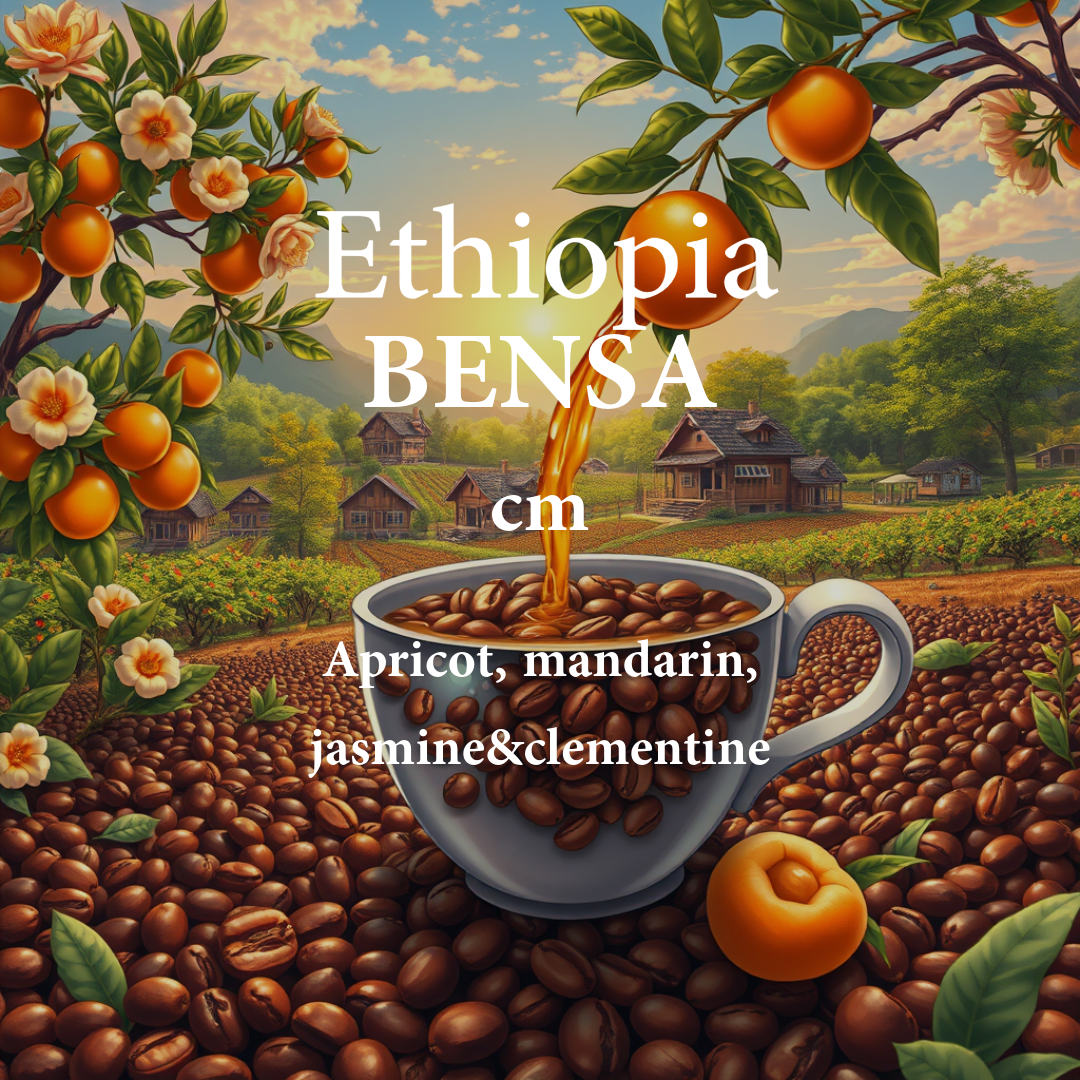 ALEZ | Ethiopia Bensa 250G