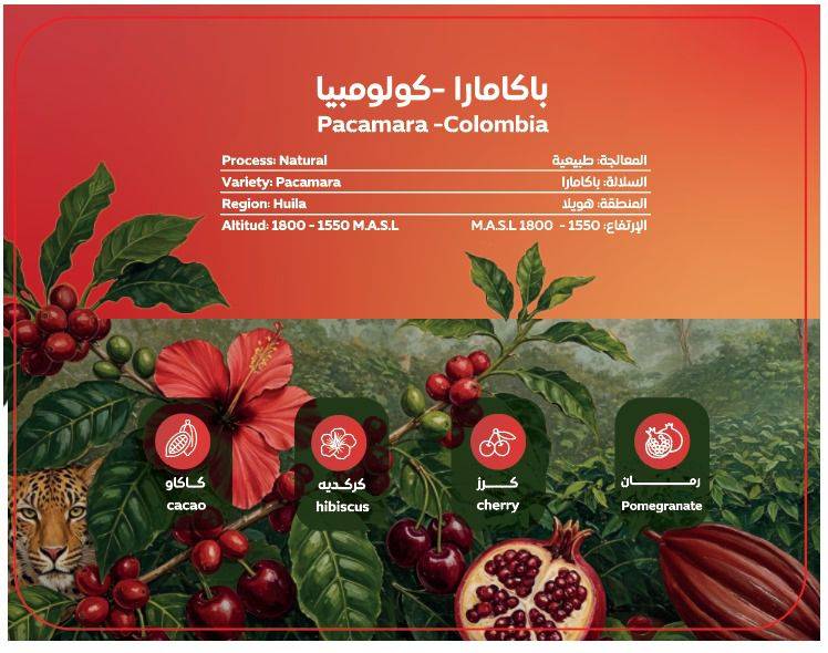 SOUTH Colombia Pacamara 125G