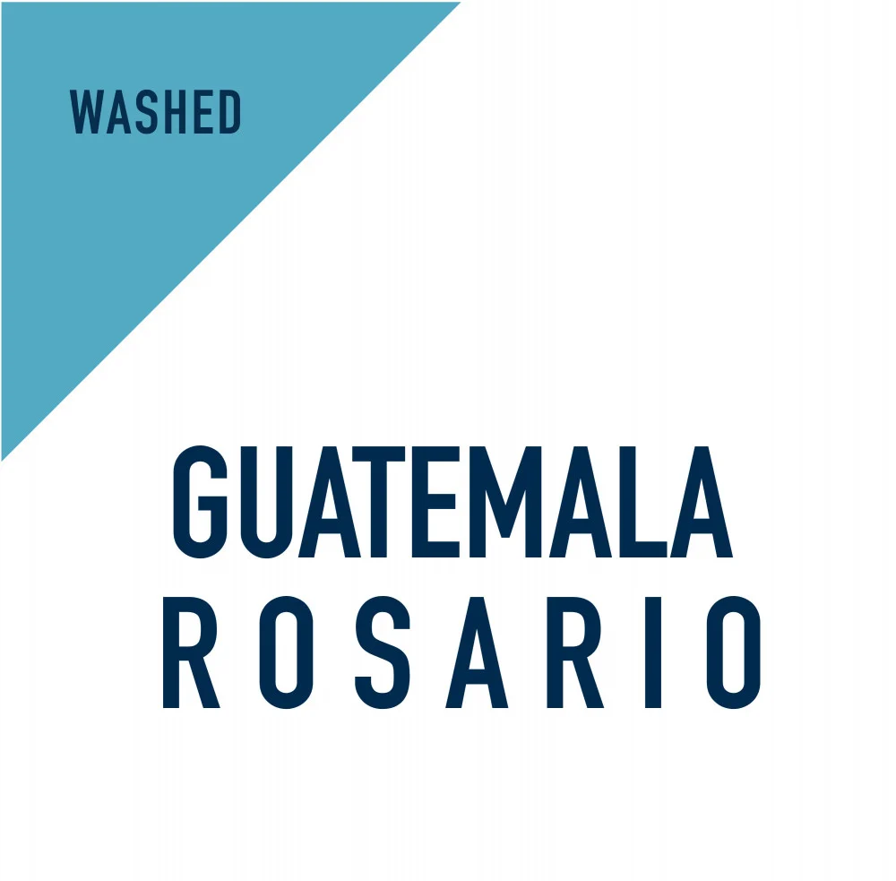 IDMI | Guatemala Rosario 250G