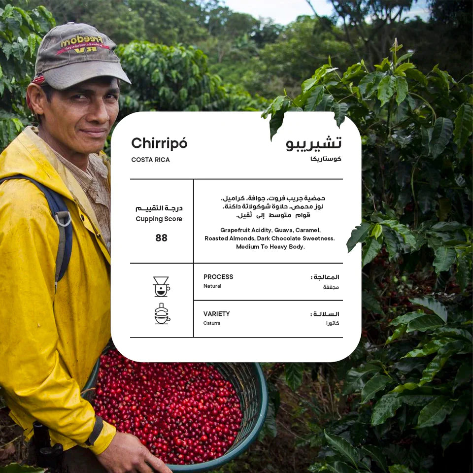 PICCOLO Costa Rica Chrirripo 250G