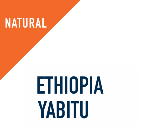 IDMI | Ethiopia Yabito 250G