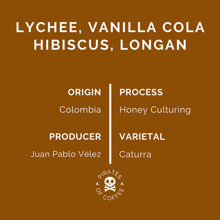 PIRATES COFFEE Colombia Honey Lychee Pop Filter 250G