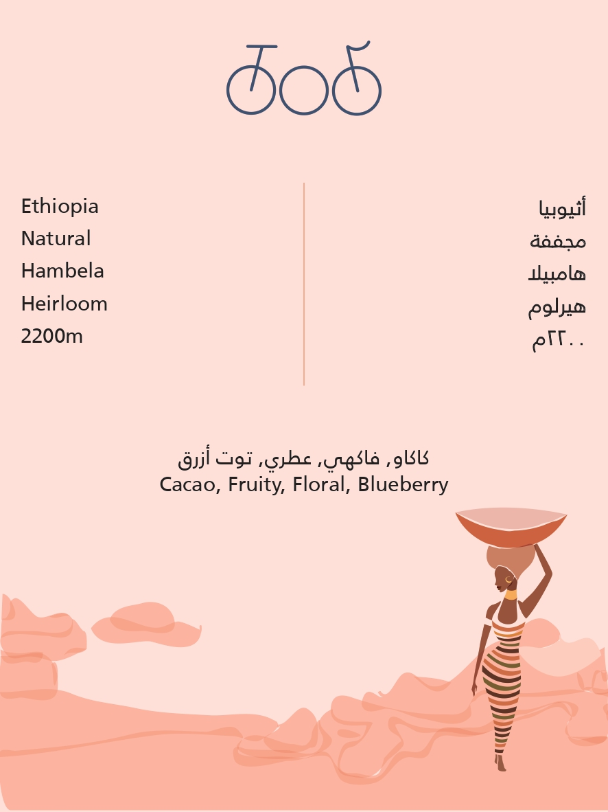 TRICYCLE | Ethiopia Hambela 250G