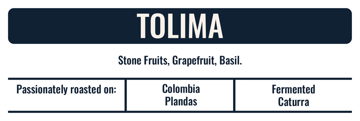 COFFEE LAB Colombia Tolima 250G