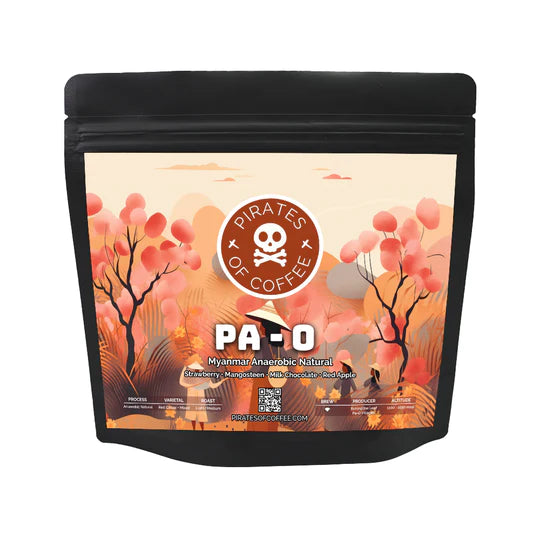 PIRATES COFFEE Myanmar PA-O Filter 250G