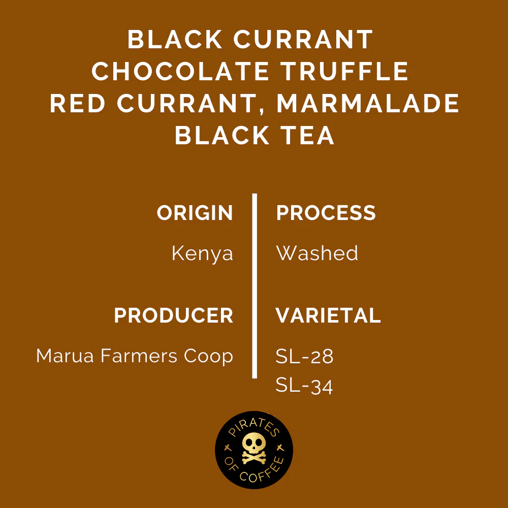 Pirates Coffee | Kenya Black Mamba 250G