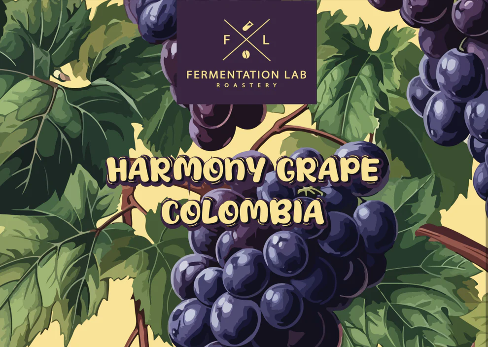 FERMENTATION COLOMBIA HARMONY GRAPE 100G