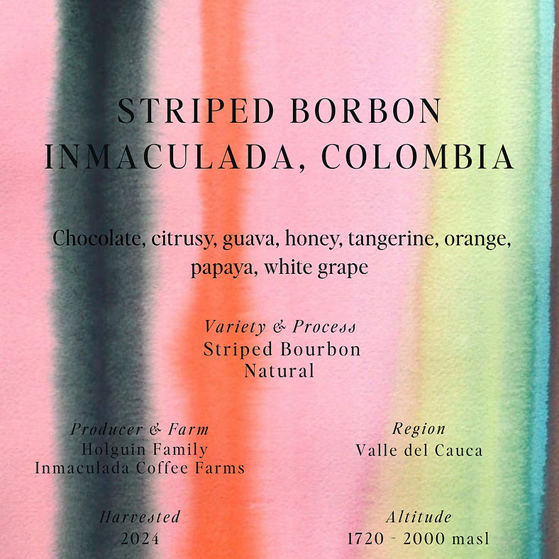 SUMO | STRIPED BOURBON INMACULADA 250G