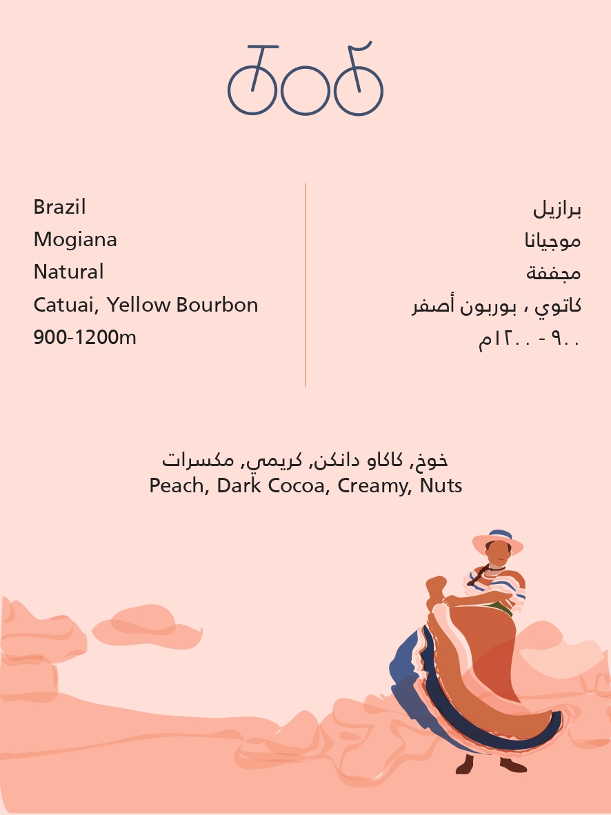 Tricycle Roastery Brazil Morena 250G
