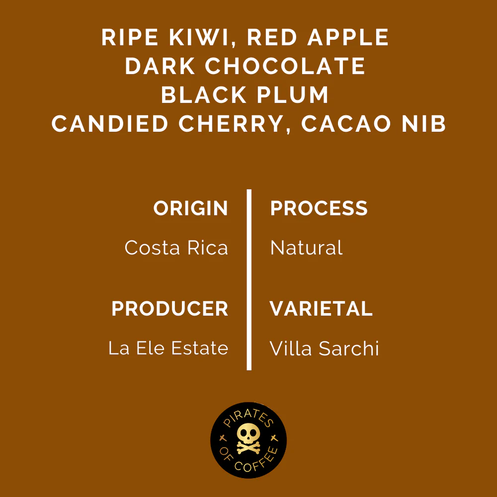 Pirates Coffee | Costa Rica Villa Sarchi 250G