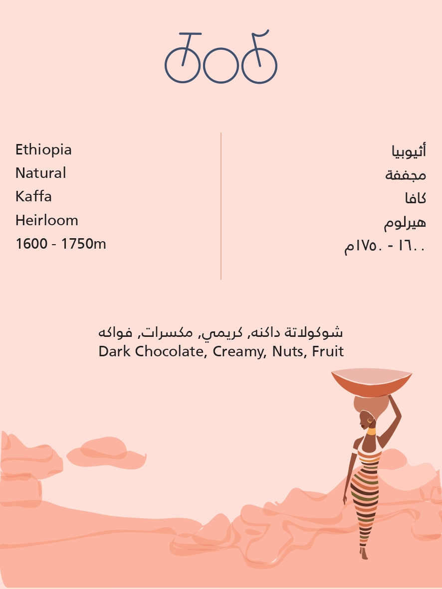 Tricycle Roastery Ethiopia Kaffa 250G