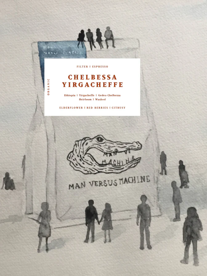 MVSM Ethiopia Chelbessa 250G