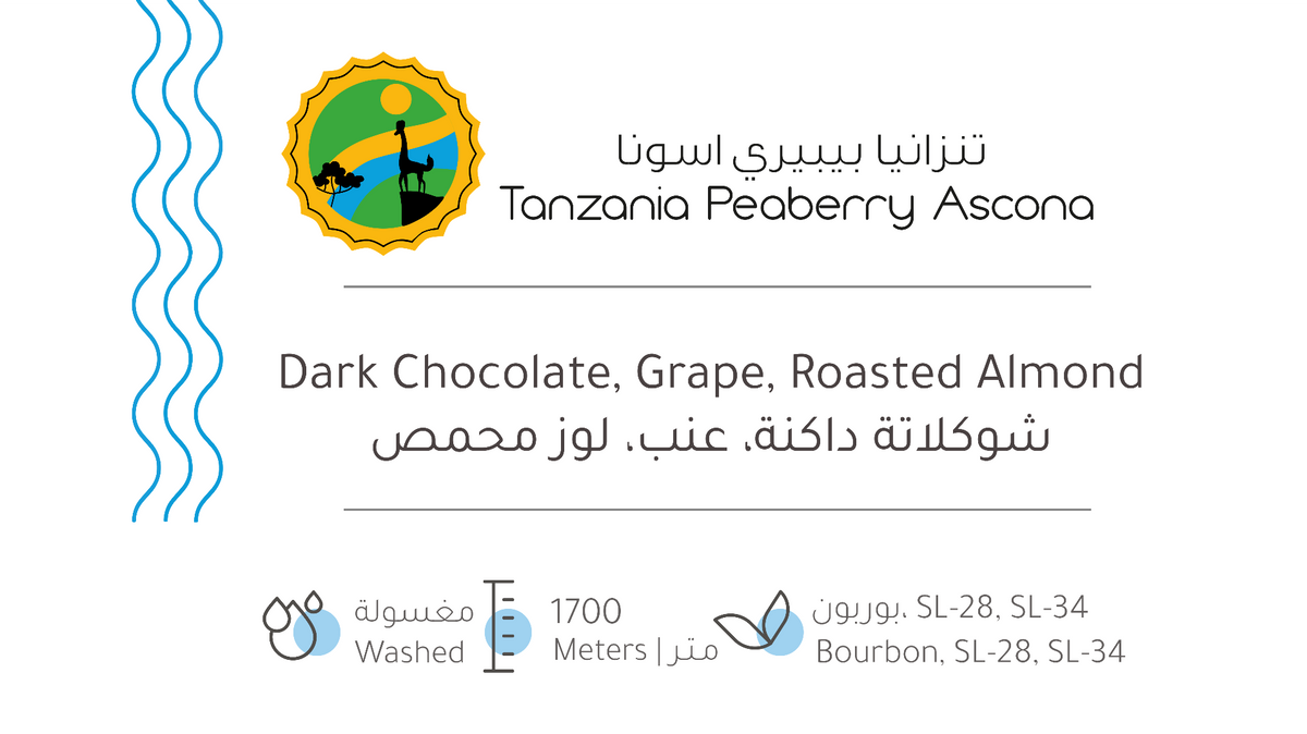 TRH تنزانيا بايبري أسكونا 227 جم