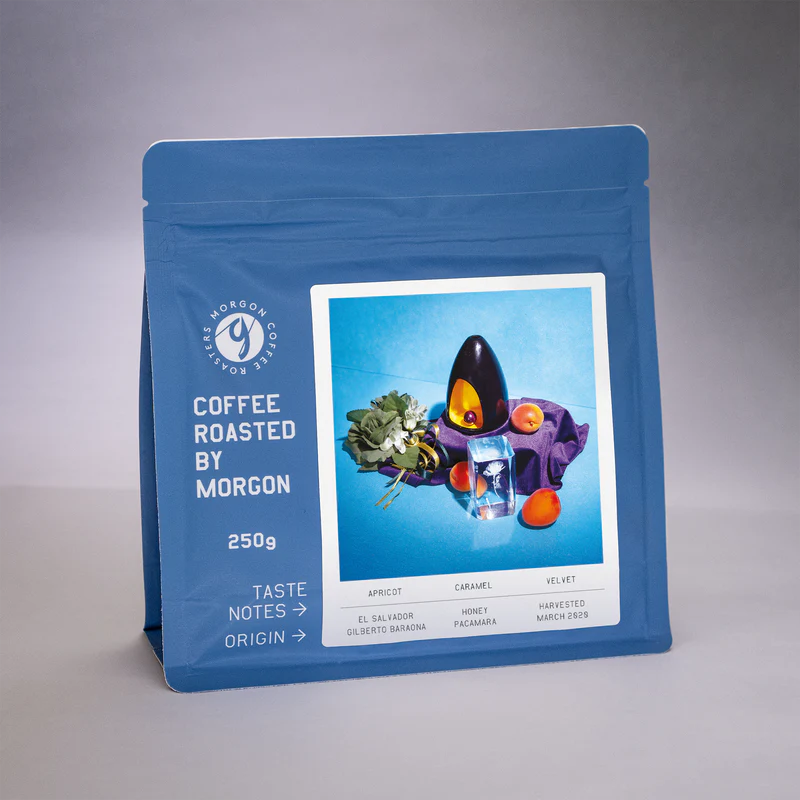 Morgon El Salvador Diego Baraona Natural 250G