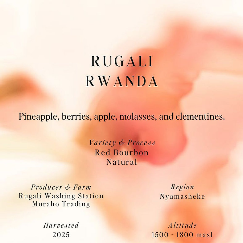 SUMO | RUGALI RWANDA 250G