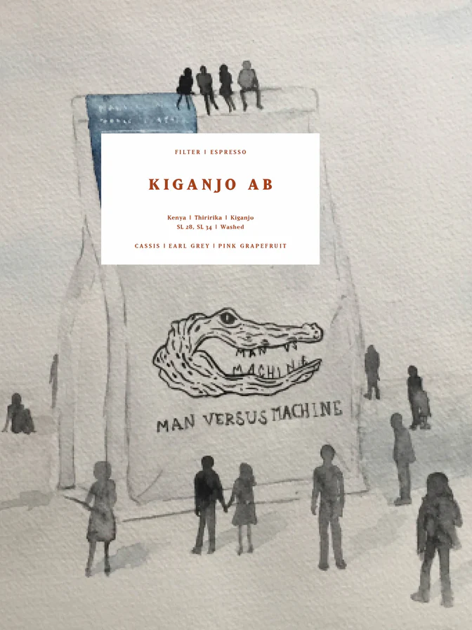 MVSM | Kenya Kiganjo AB, 250G