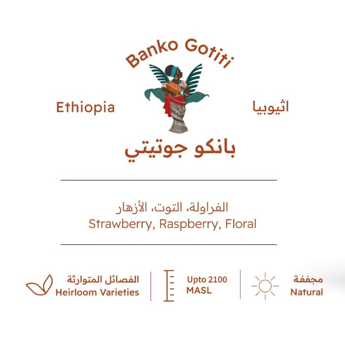TRH إثيوبيا بانكو غوتيتي 227 جرام