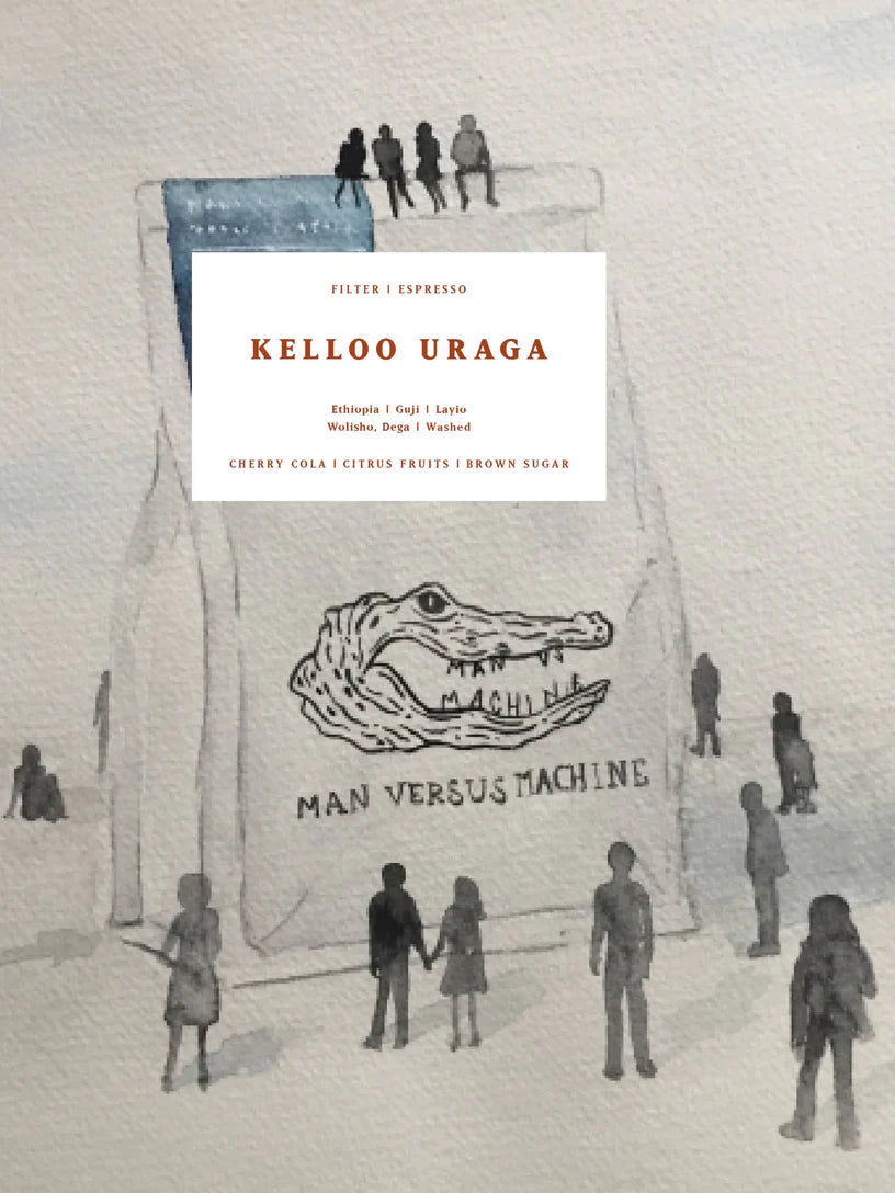 MVSM KELLOO URAGA, ETHIOPIA, WASHED 250G