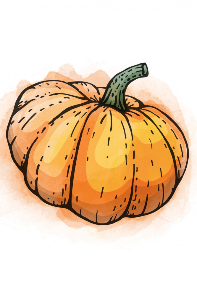 THE COFFEE FACTORY Peru Pumpkin 250G