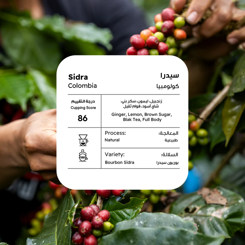 PICCOLO Colombia Bourbon Sidra EXW 250G