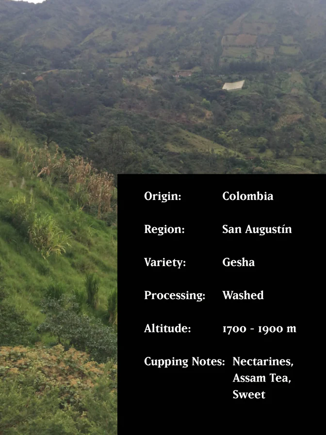MVSM COLOMBIA LA MURALLA GESHA 250G