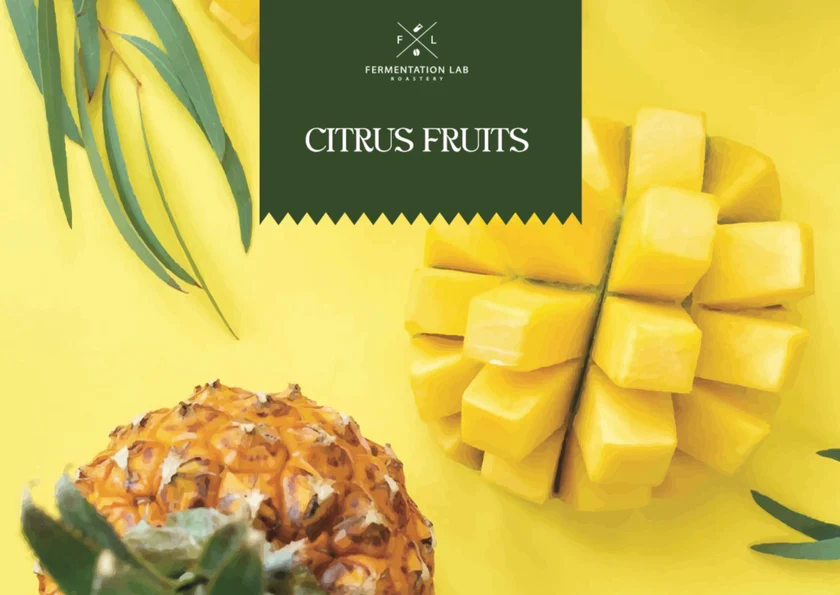 Fermentation Lab | CITRUS - FRUITS