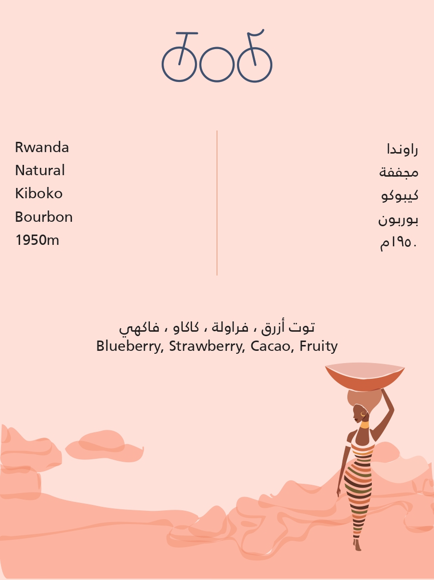 TRICYCLE | Rwanda Kiboko 250G