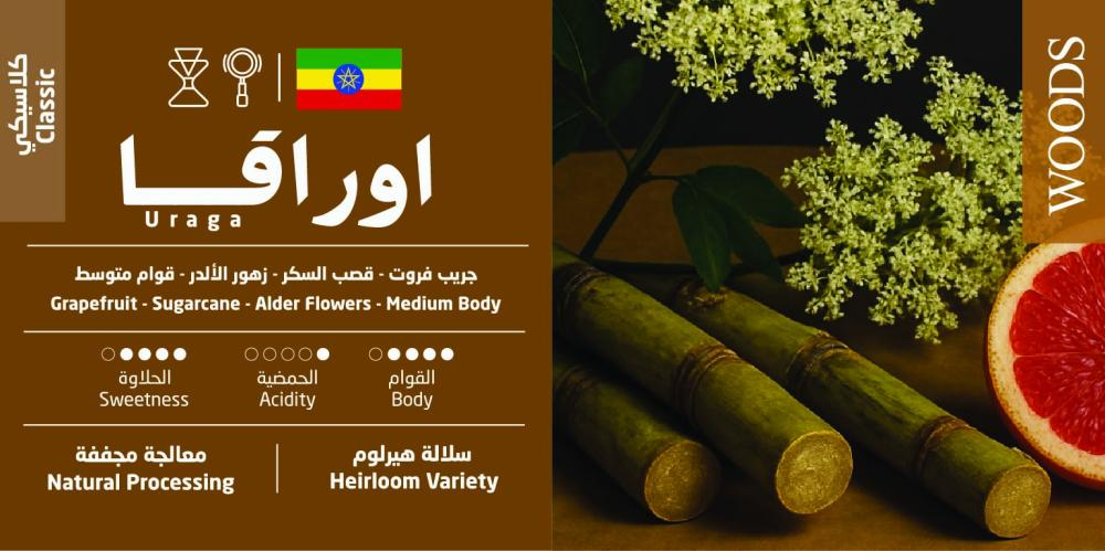 Woods | Ethiopia Uraga Drip