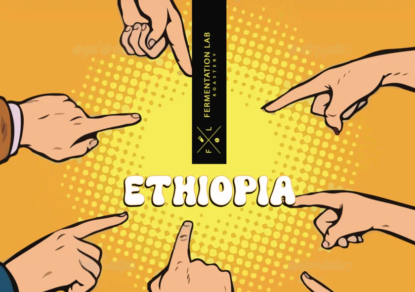 Fermentation Lab | Ethiopia Basyaher 250G