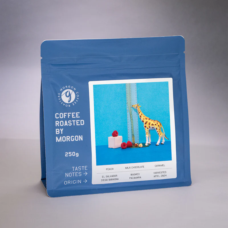 MORGON | El Salvador Diego Baraona Washed 250G