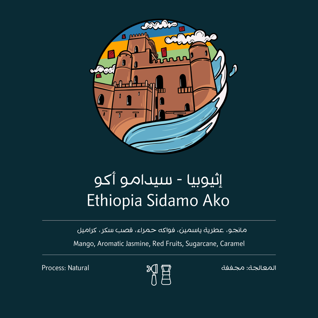 OSTOOL Ethiopia Sidamo Ako 250G